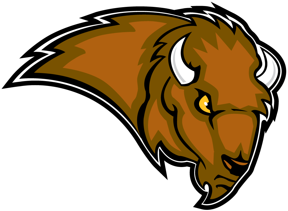 Lipscomb Bisons 2002-2011 Secondary Logo diy DTF decal sticker